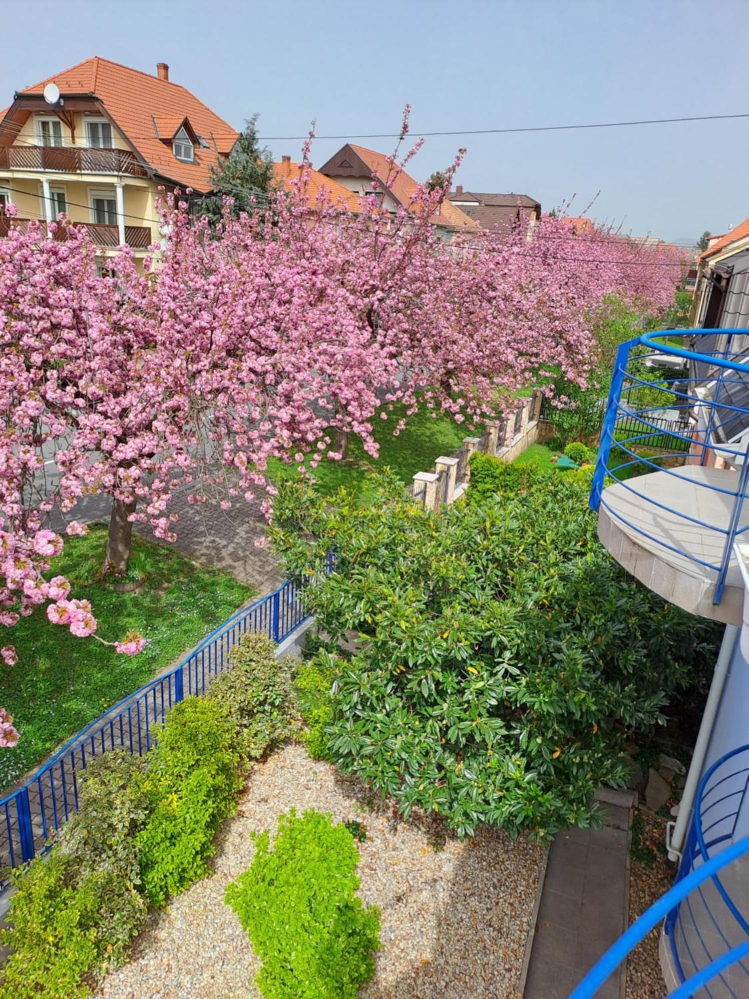 Laguna Apartmanhaz Hévíz Buitenkant foto